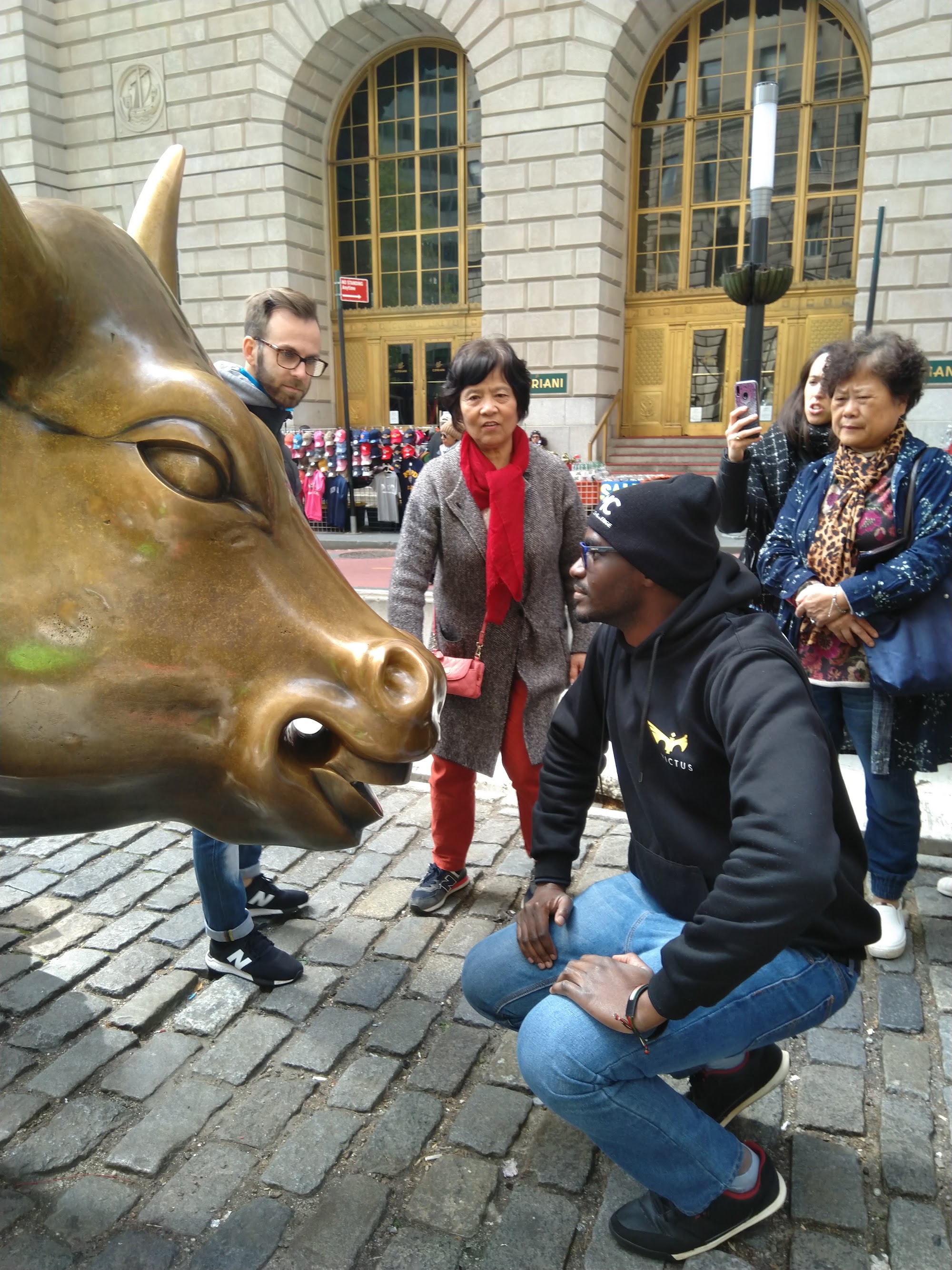 charging bull