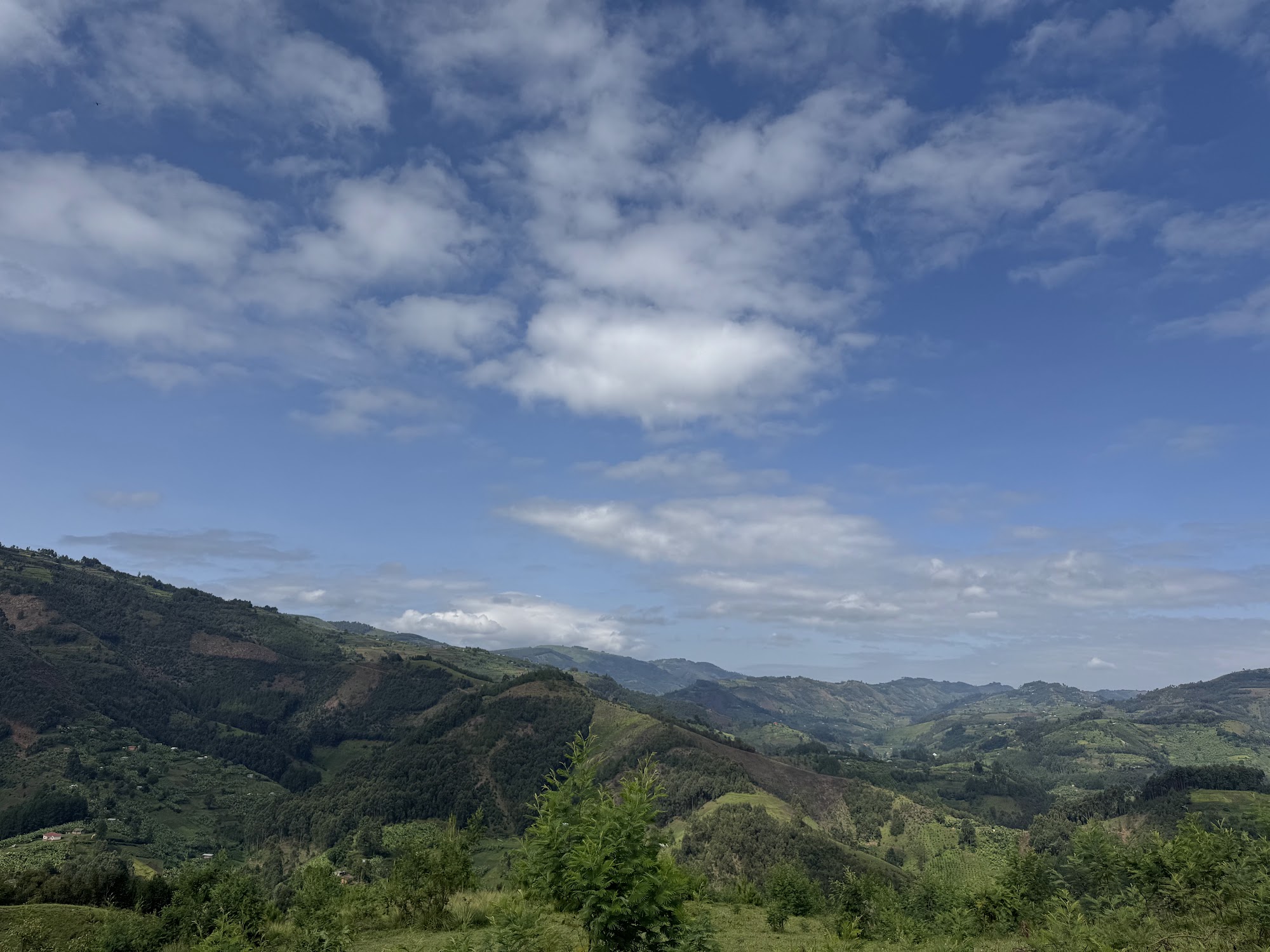 hills